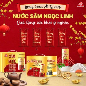 Sâm Ngọc Linh Trường Sinh - đỏ (hộp 06 lon)