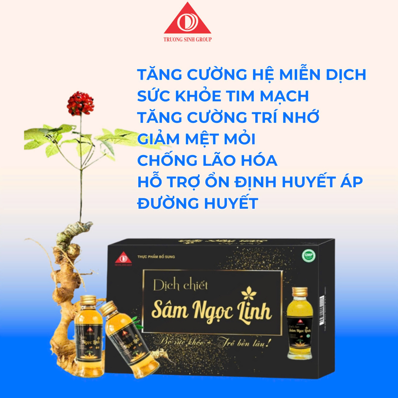 Dịch chiết sâm ngọc linh hộp 05 chai - kèm túi